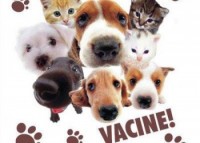 campanha da vacinação anti-rábica